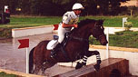 horse riding schools west cork